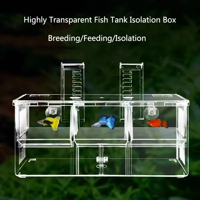 Acrylic Highly Transparent Aquarium Fish Breeding Isolation Box Fish Tank Aquarium Breeder Double Guppies Hatching Incubator Vue