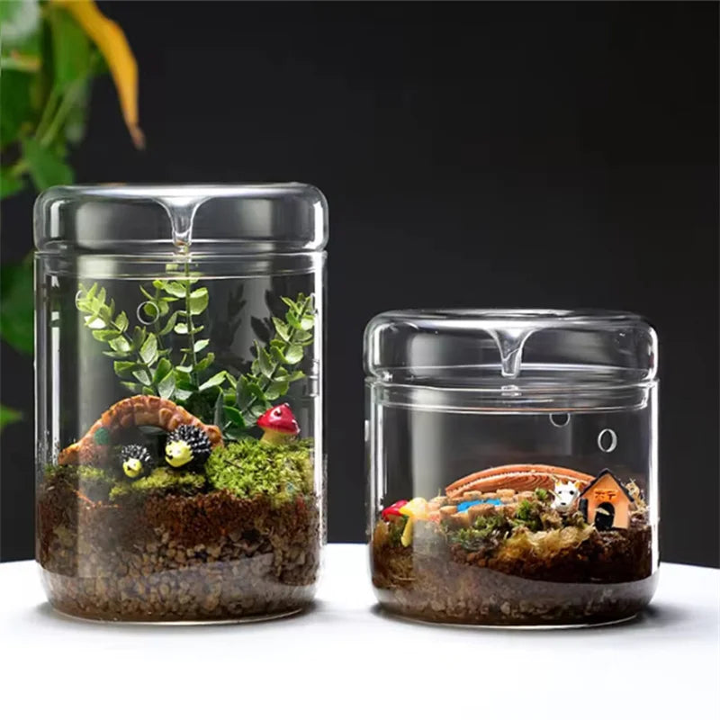 Glass Bottles Creativity Dew Collection Vase Micro Landscape