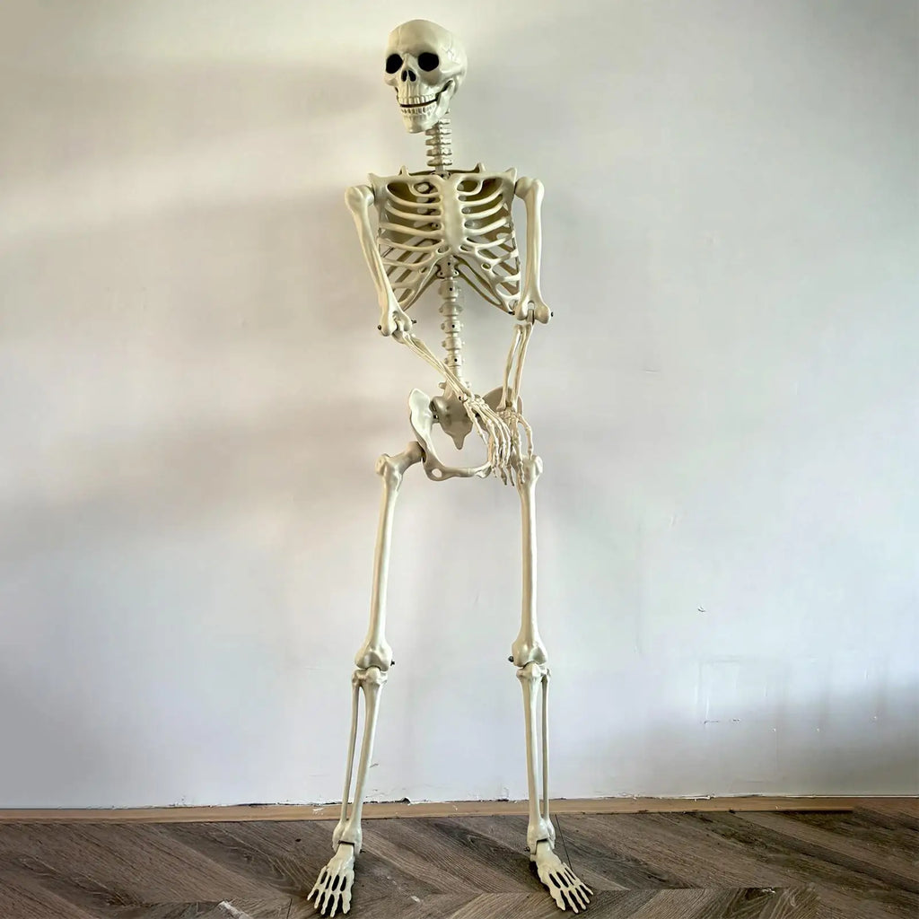 Halloween Realistic Body Bones with Posable Joints Simulation Skull Ornament Haunted House Horror Props Garden Decor Decorative Vue