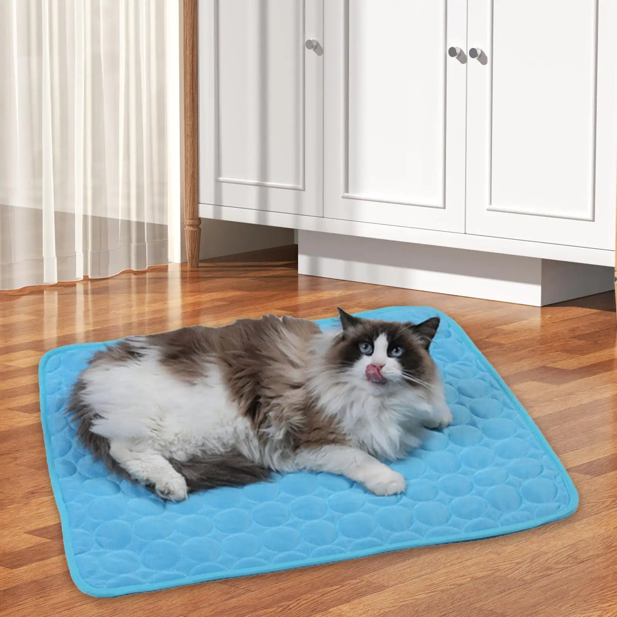 62X50cm/70X55cm Dog Cooling Pad Washable Waterproof Dog Cooling Blanket Pet Sofas For Travel Camping Offices Home Living Room Vue