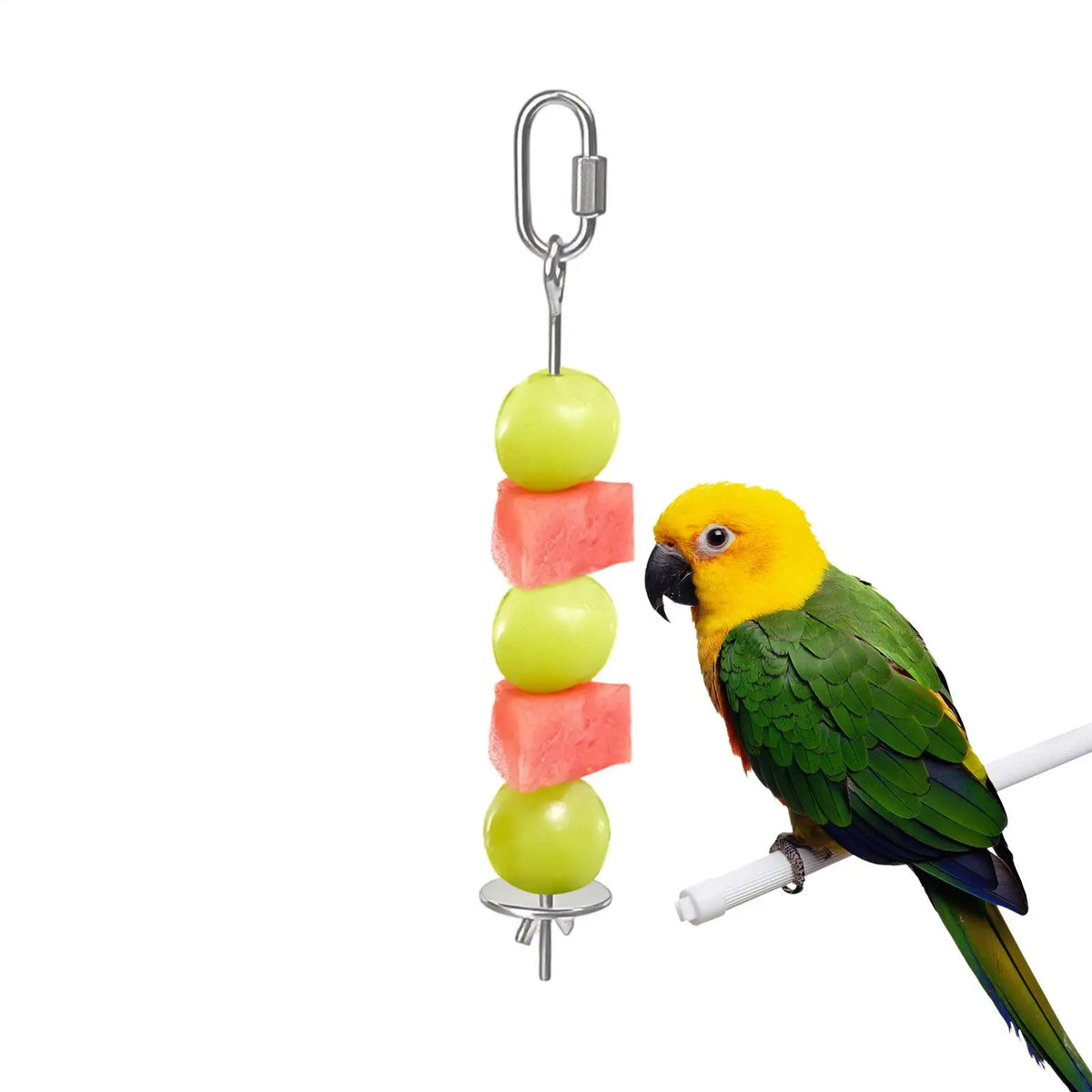 S/M/L Stainless Steel Bird Fruit Skewer Holder for Cage Foraging Toy for Parakeet Cockatiel Conure Macaw Finch Dishwasher Safe Vue