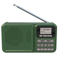 Handheld DAB FM Radio Wireless Bluetooth MP3 Player Support U-Disk TF Card Slot Stereo Sound LCD Screen for Outdoor Hiking Vue green