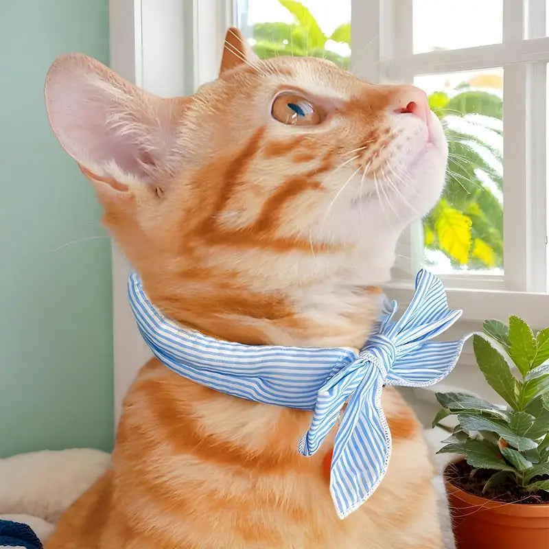 Pet Cooling Ice Scarf Cool Ice Breathable Towel Heatstroke Dogs Cats Ice Collar Cat Adjustable Collar Bibpet Supplies Vue