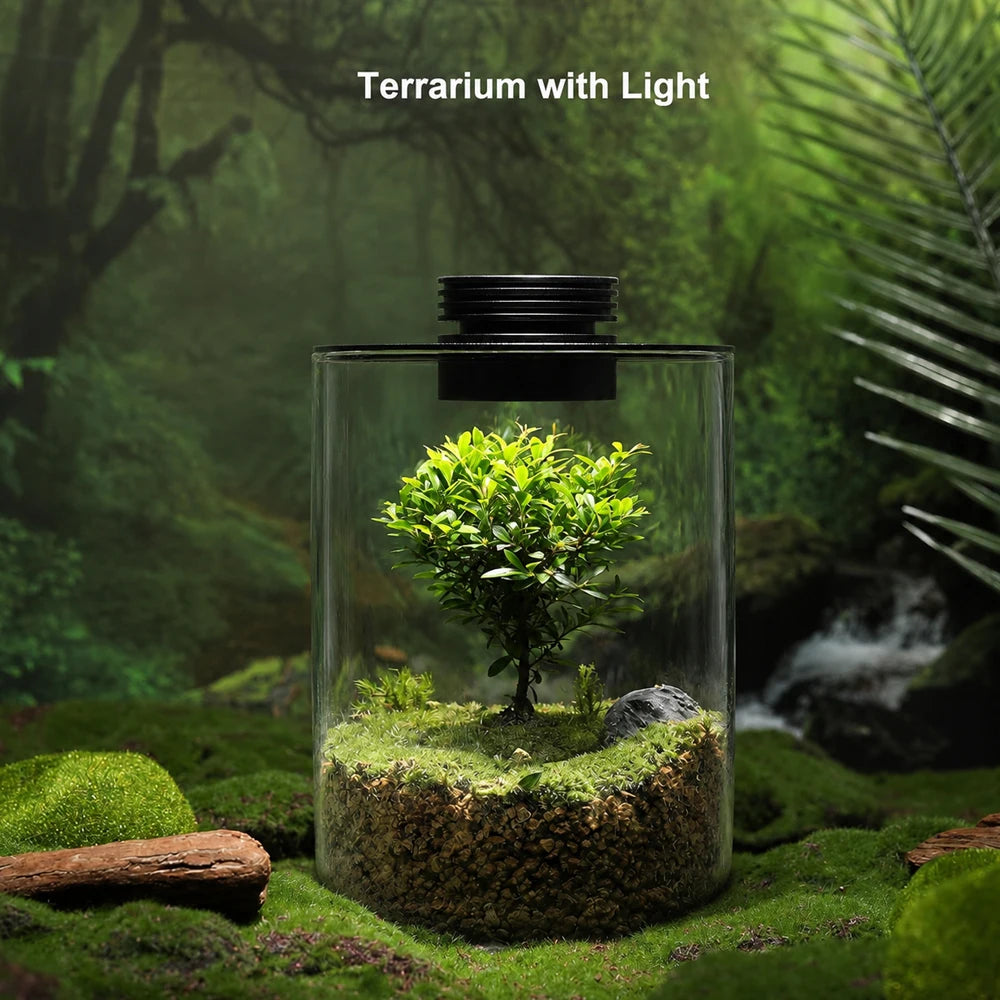 Desktop Glass Plant Terrarium with Grow Light Planter for Succulent Moss Miniature Gardening Landscape, Fish Tank Indoor Plant Vue