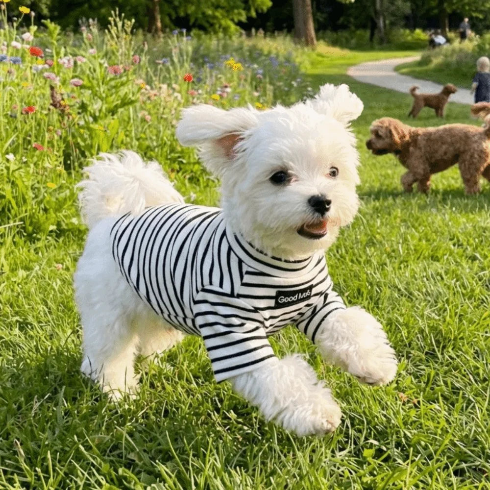 Dog Clothing High Collar Dog Thermal Shirt Warm Soft Dog Base Coat Two Leg Comfortable Dog T-shirt Cold Weather Vue