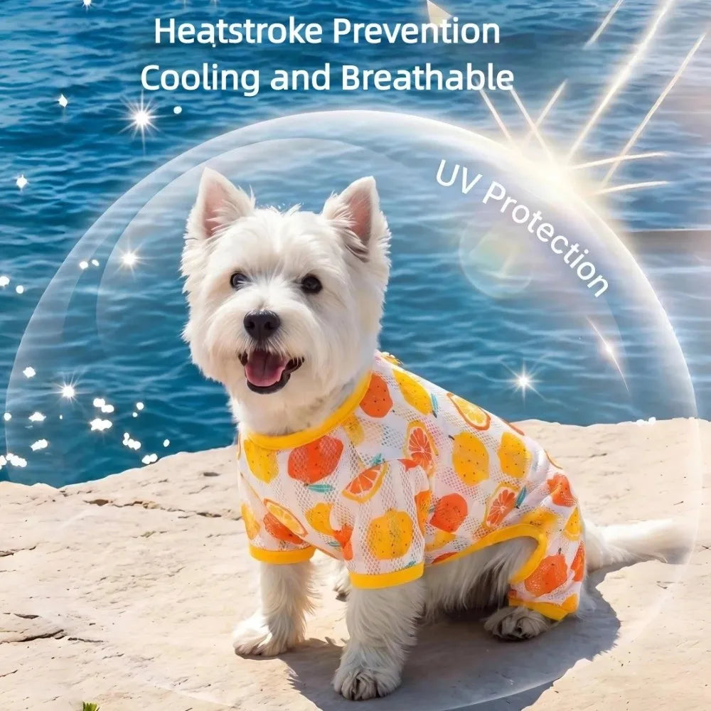 Cute Thin Breathable Pet Cooling Jumpsuit Mesh Fruit Pattern Pet Four Legged Clothes Comfortable Dog Sunscreen Clothing Outdoor Vue
