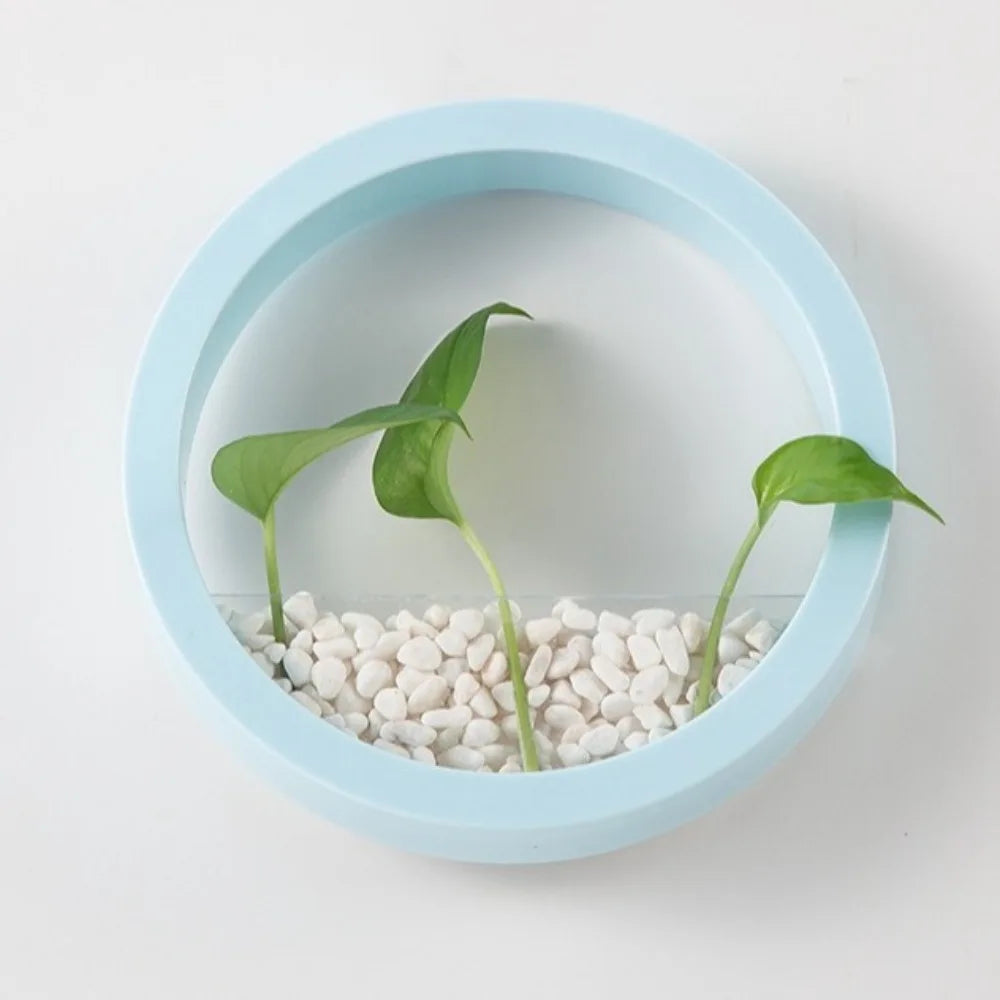 Planter Pot Round Wall-mounted Flowerpot Plastic Space Saving Plant Container Drill-Free Small Fish Tank Room Decoration Vue Blue