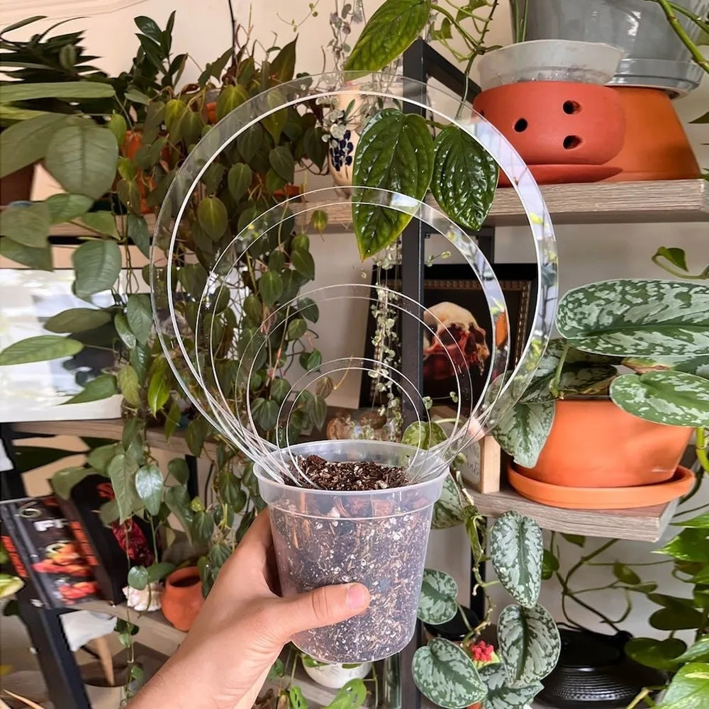 Transparent Acrylic Plant Bracket Round Shape Weather-resistant Climbing Plant Support Sturdy Plants Growth Stand Climbing Vines Vue