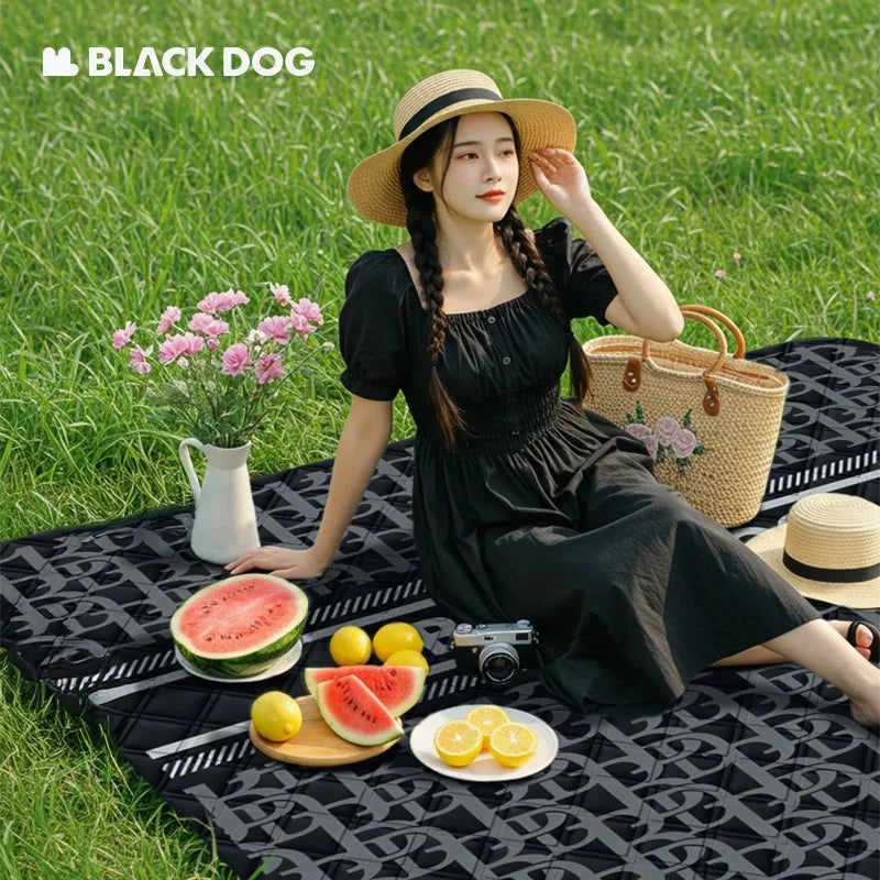 Naturehike BLACKDOG Folding Picnic Mat 200x200cm | Camping Cushion Folding Picnic Mat Vue