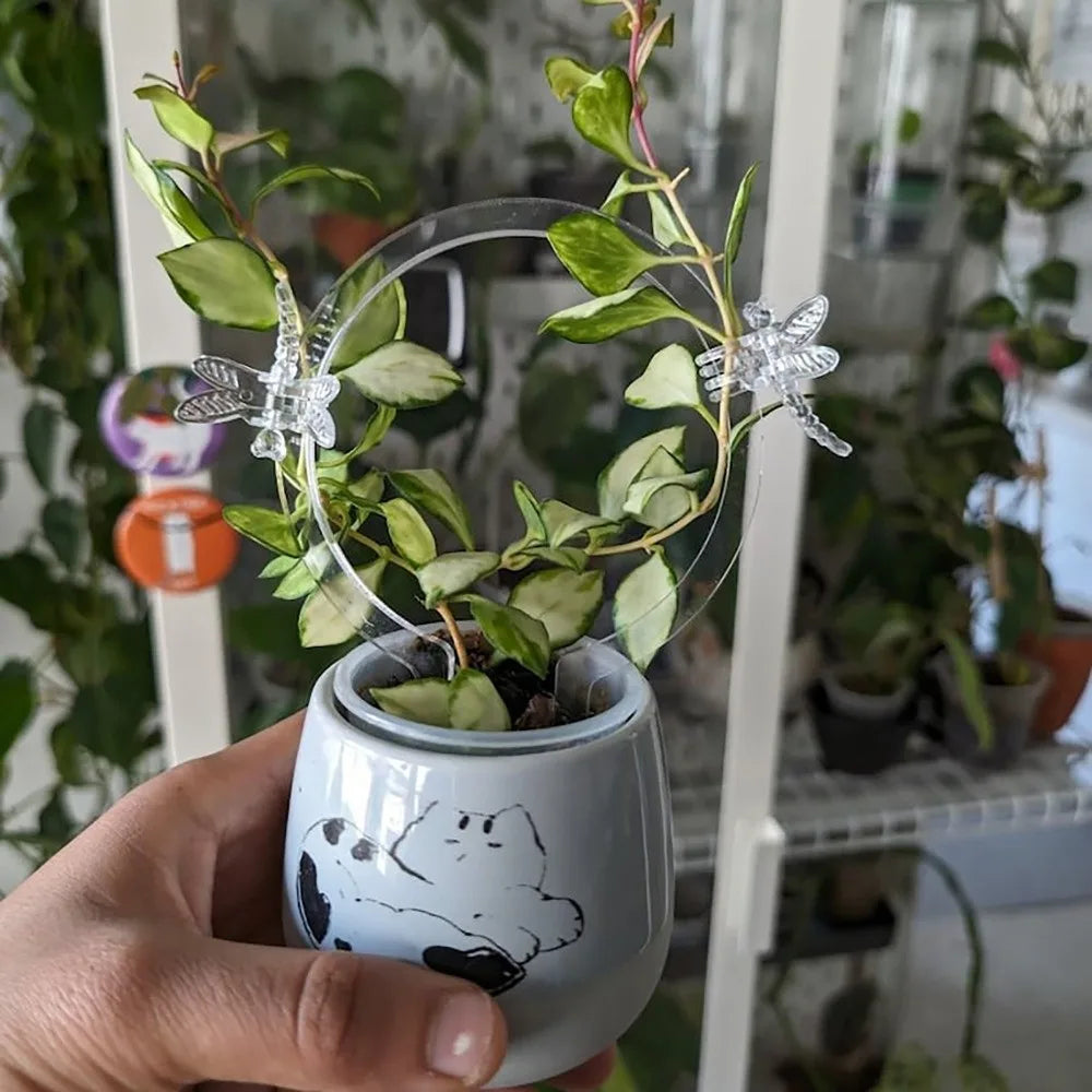 Transparent Acrylic Plant Bracket Round Shape Weather-resistant Climbing Plant Support Sturdy Plants Growth Stand Climbing Vines Vue