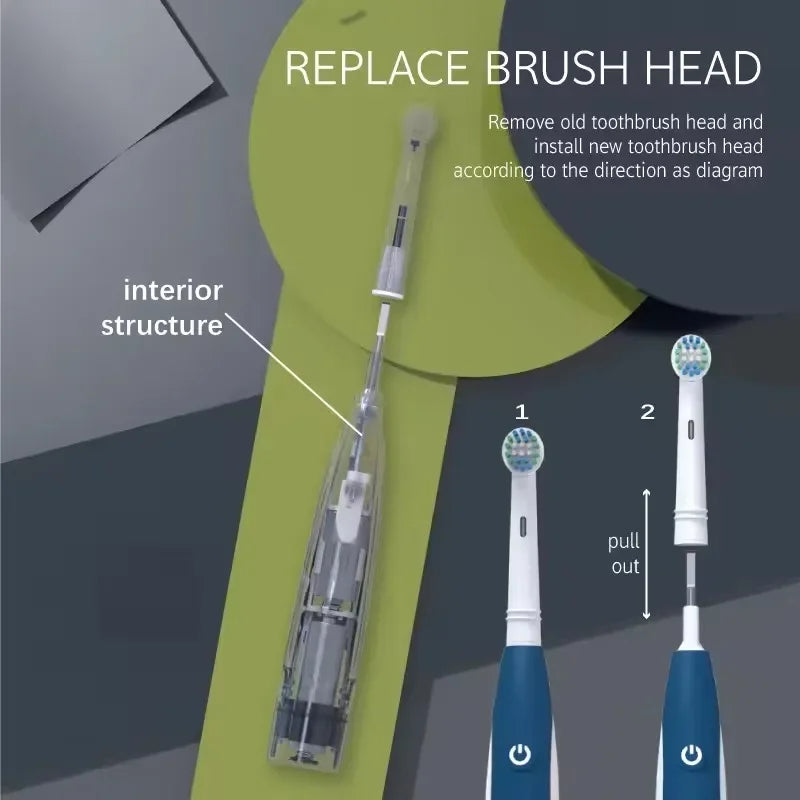 Sonic Electric Toothbrush Rounded 3D Vibrate Teeth Brush Rotation Gum Care Soft Bristle Heads Battery Power Teeth Whitening Vue