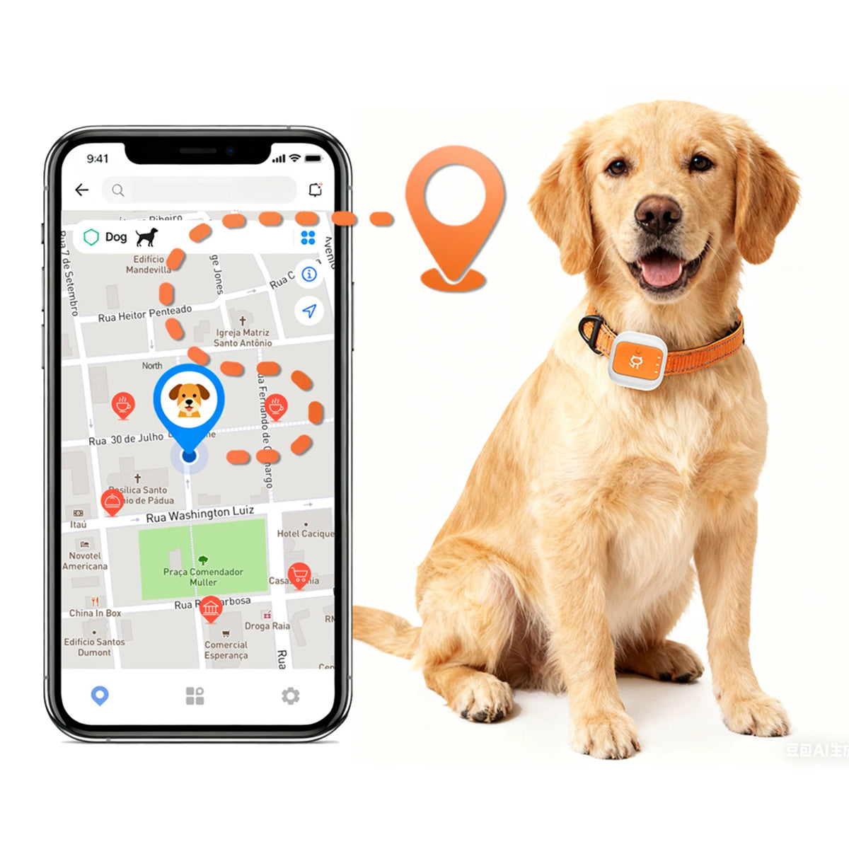 4G LTE GPS Pet Tracker for Cats & Small Dogs | Real-Time GPS Pet Tracker Vue