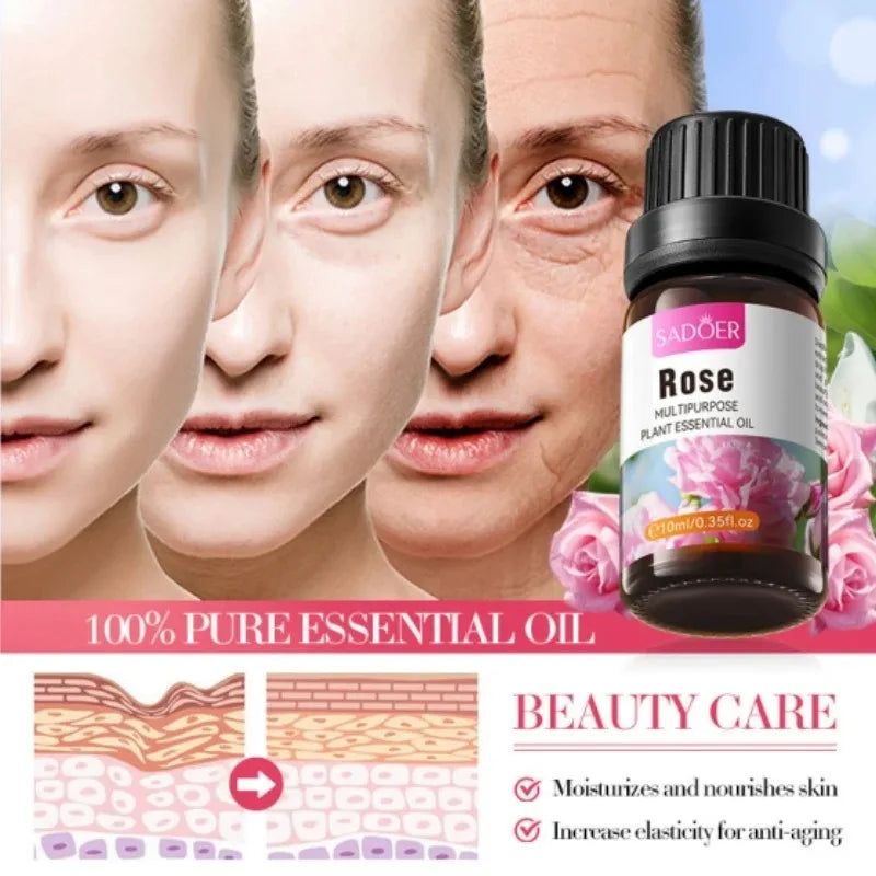 1 Set of Fragrance Essential Oil Set 10ml*6, Rose, Thyme, Chamomile, Lily, Ylang-Ylang, Cherry Blossom Essence, Nourishes the Skin, Universal Body Essence Vue