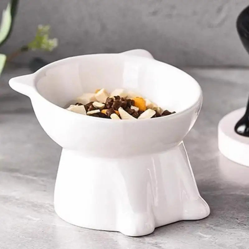 Raised Cat Bowl Anti-tipping 15 Degree Slant Tall Legs for Eating and Drinking Reduces Neck Strain in Multiple Room Settings Vue