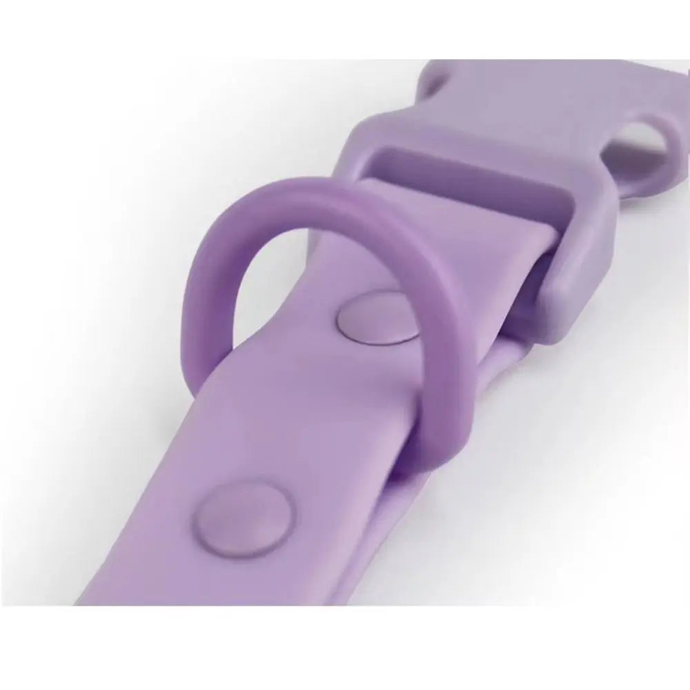 Elastic Webbing Pet Collar Adjustable Pet Identification Waterproof Dog Collar Rustproof Washable Safety Buckle Chain Outdoor Vue