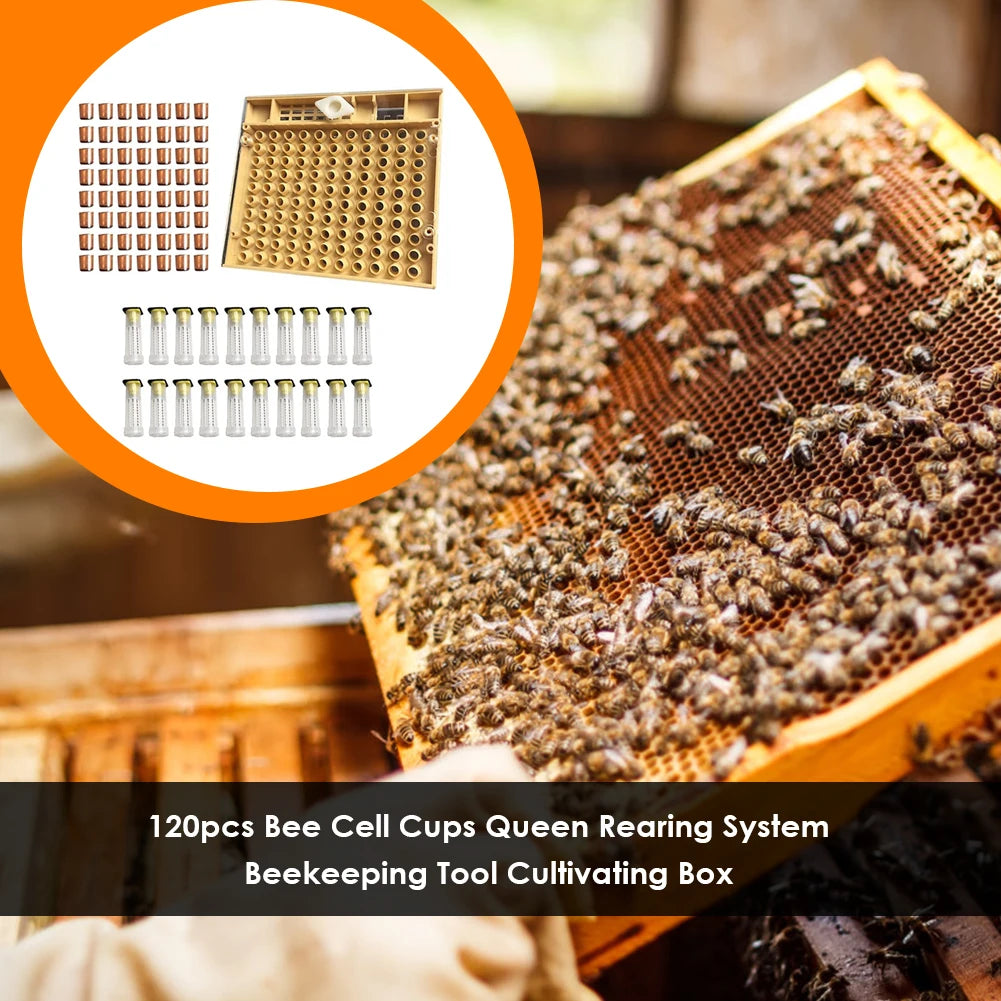 120-Piece Plastic Bee Cell Cup Queen Rearing Kit | Beekeeping Queen Rearing Kit Vue
