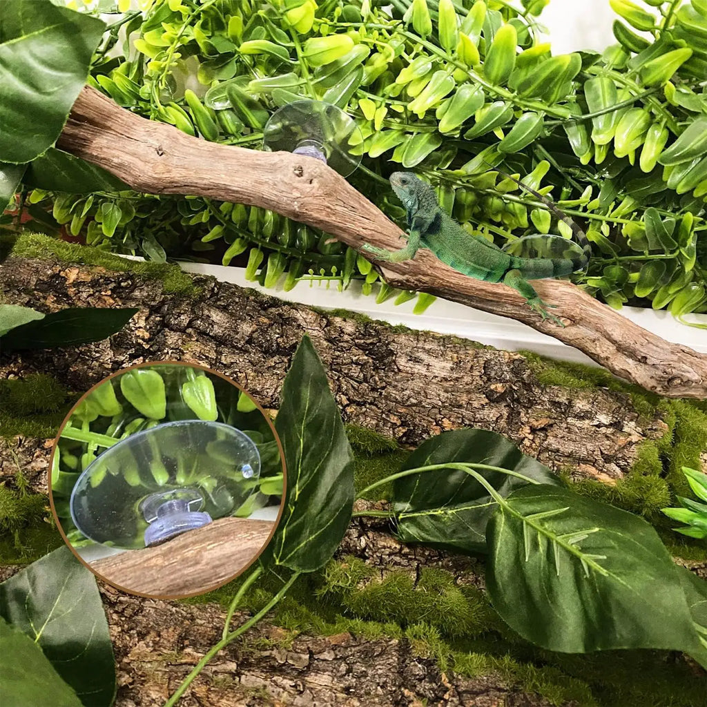 Snake Climbing Branch Unique Snake Climbing Decor Natural Non-slip Habitat Decorations Reptile Decor for Bearded Dragon Snake Vue