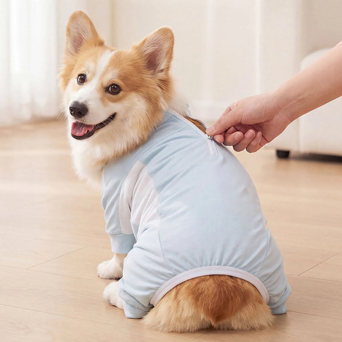 APWIKOGER Dog Sun Protection Cooling Shirt | 2-in-1 Jumpsuit Dog Cooling Jumpsuit Vue