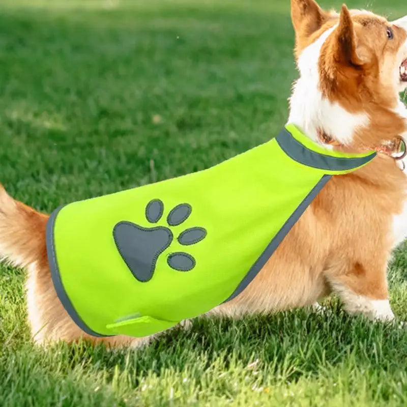Reflective Dog Safety Vest | Hi-Vis Fluorescent Jacket S/M/L Dog Safety Vest Vue