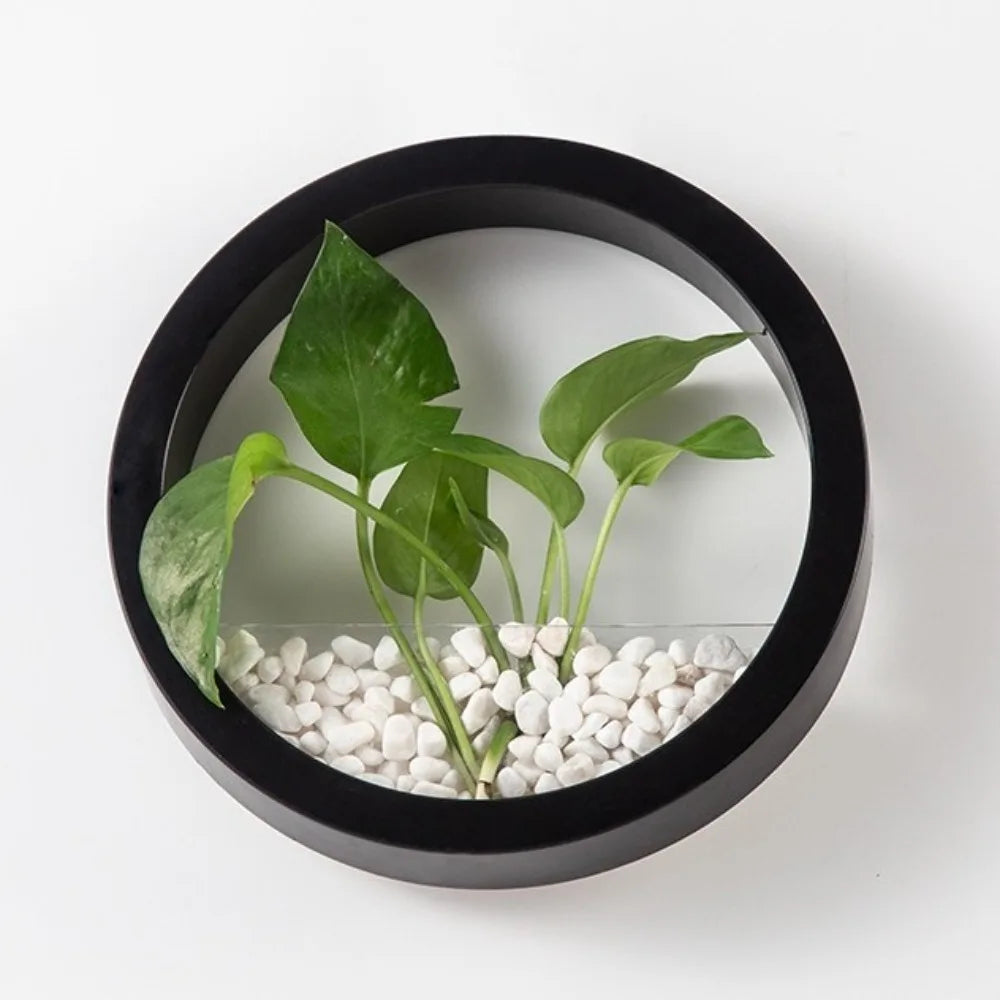 Planter Pot Round Wall-mounted Flowerpot Plastic Space Saving Plant Container Drill-Free Small Fish Tank Room Decoration Vue Black
