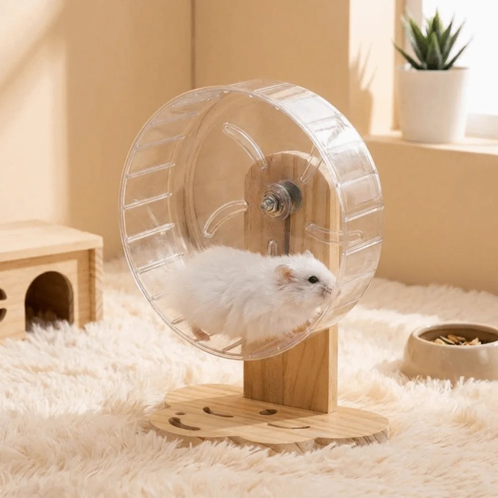 Transparent Hamster Exercise Wheel Adjustable Height Sturdy Silent Running Wheel Thickened Wooden Stand Pet Exercise Toy Vue