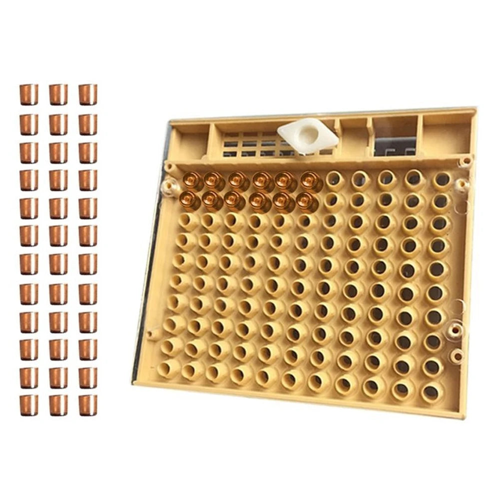 Beekeeping Tool 120pcs Plastic Cell Queen Rearing Kit Cultivating Box Vue
