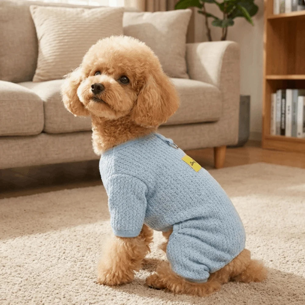 Breathable Mesh Dog Sun Protection Clothes Quick Drying Thin Dog Cooling Jumpsuit with Traction Summer Pet Clothes Indoor Vue