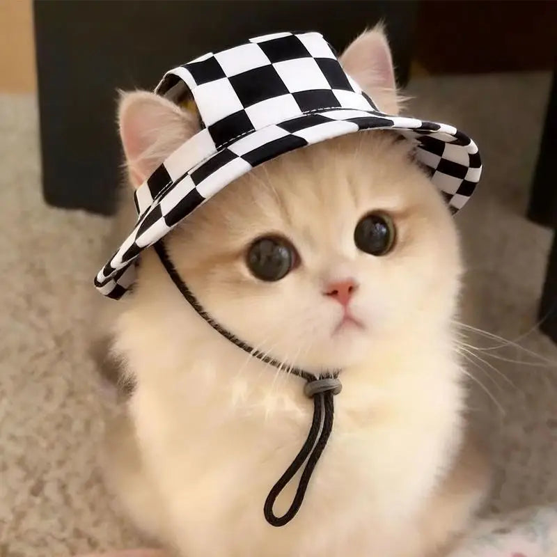 Summer Pet Cat Sun Hat Ear Holes Cute Kitten Fisherman Cap UV
