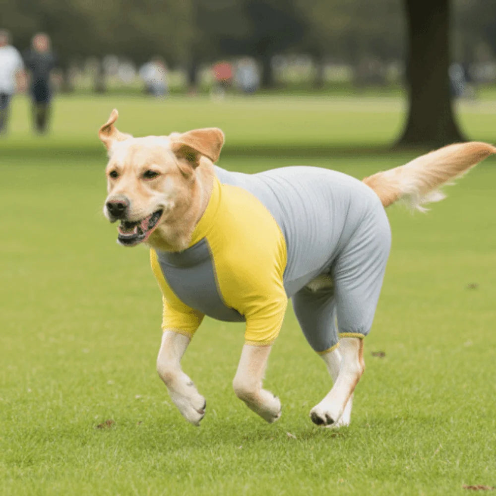 Breathable Dog Cooling Jumpsuit Quick Drying Sun Protection Dog Sunscreen Costume Cool Feeling Lightweight Vue