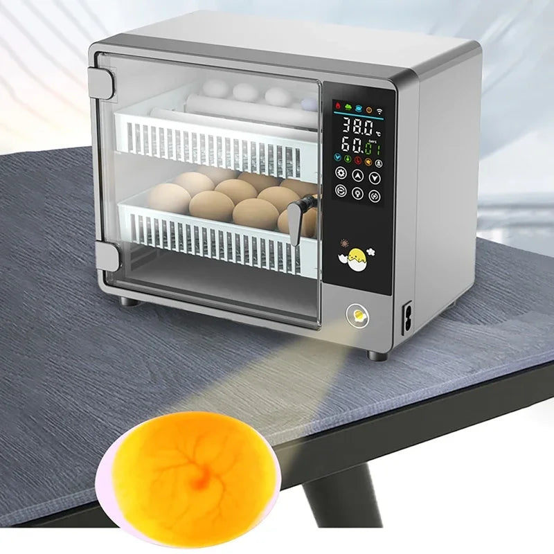 24-Egg Automatic Incubator for Chicken Quail & Bird Hatching Egg Incubator Vue US PLUG 110V DC 12V