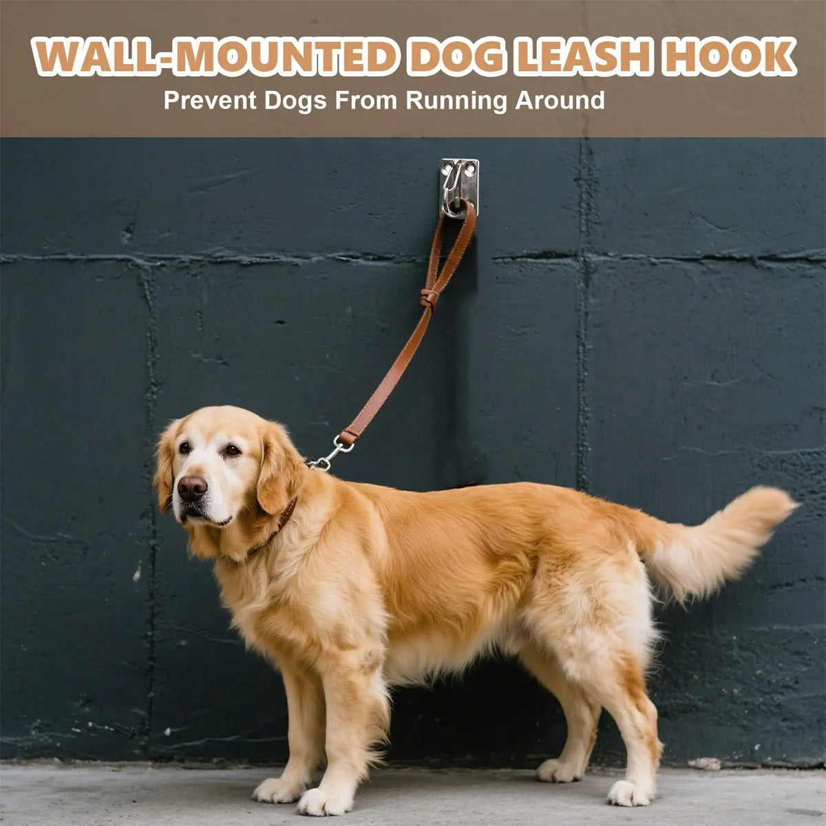 Heavy Duty Dog Lead Rope Hook for Wall - Escape-Proof Wall Mounted Tie Out Hook for Large & Small Pets, Indoor Outdoor Vue