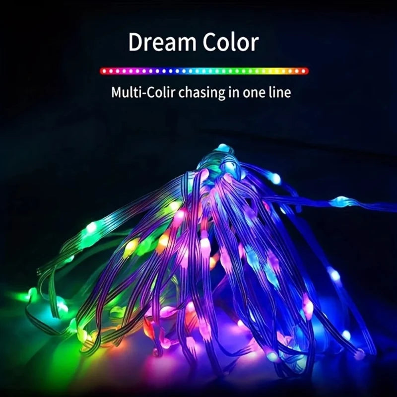 5/10/20M RGBIC USB LED Sting Light Bluetooth Music APP Programmable DIY Fairy Lights Birthday Party Garland Christmas Decor Vue