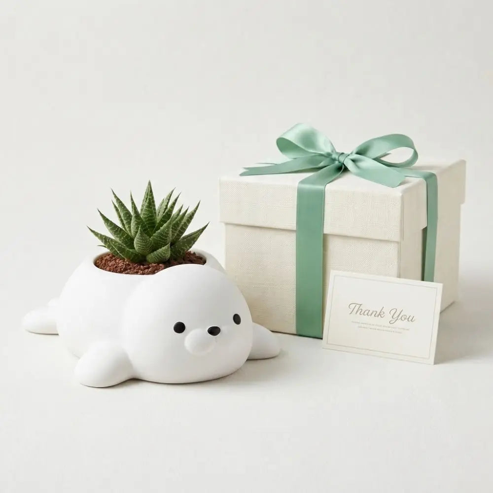 Cute Animal 3D Printed Seal Flowerpot Storage Box Home Decor Desktop Ornaments Funny Jewelry Holder Plant Flower Pot Living Room Vue