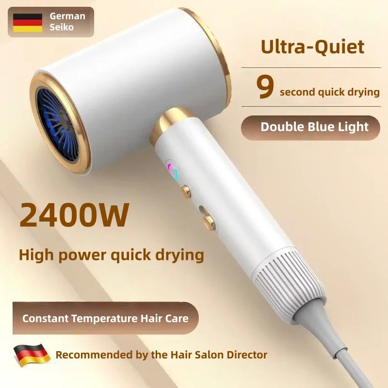 2400W Negative Ion Hair Dryer – Ultra Quiet + Diffuser Ionic Hair Dryer Vue