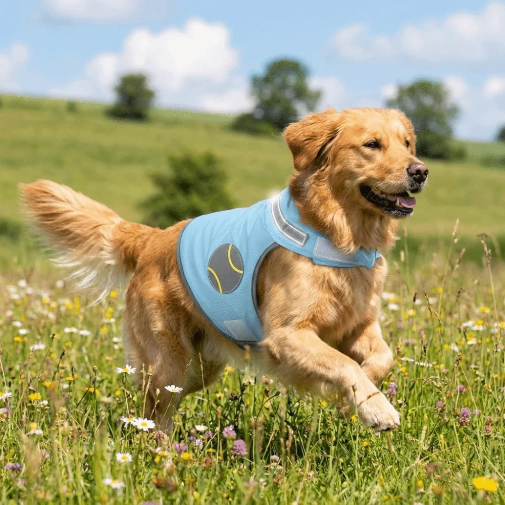 Reflective Dog Cooling Vest Quick Dry Breathable Mesh Dog Sunscreen Clothes Adjustable Sunscreen Pet Cooling Shirt Vue
