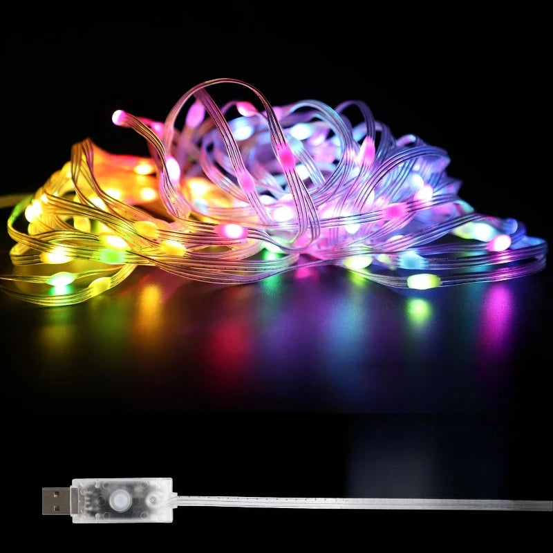 5/10/20M RGBIC USB LED Sting Light Bluetooth Music APP Programmable DIY Fairy Lights Birthday Party Garland Christmas Decor Vue