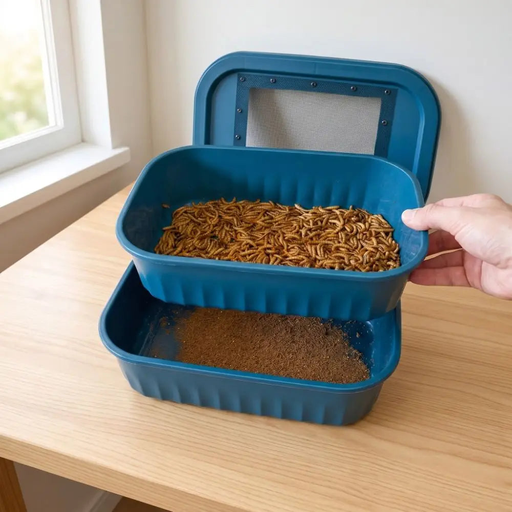 2-Layer Mealworm Feeding Box Breathable Filter Screen Mealworm Breeding Kit Large Capacity Anti-escape Insect Observation Box Vue