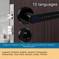 Remote Lock Smart Fingerprint Door Lock Smart Password Electronic Digital Door Handles Bluetooth WiFi Gateway Vue Double tongue lock
