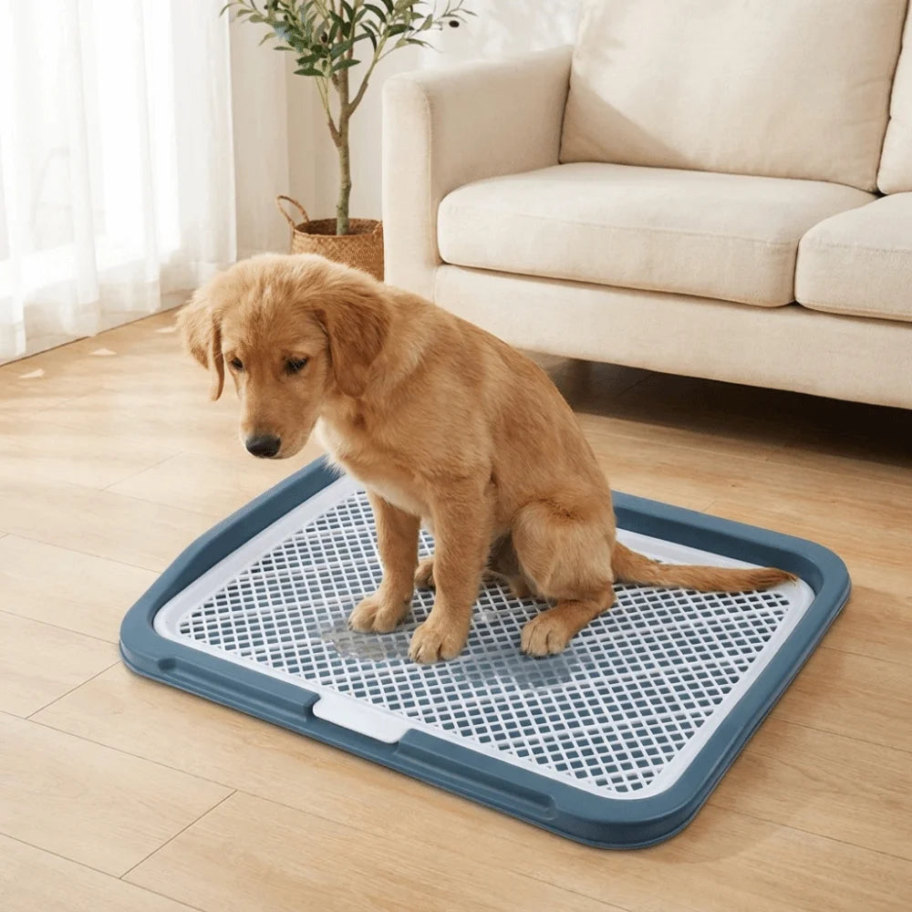 Pet Supplies Easy Clean Puppy Potty Training Tray Detachable Leak Proof Dog Toilet Tray Reusable Mesh Pet Potty Pads Indoor Vue