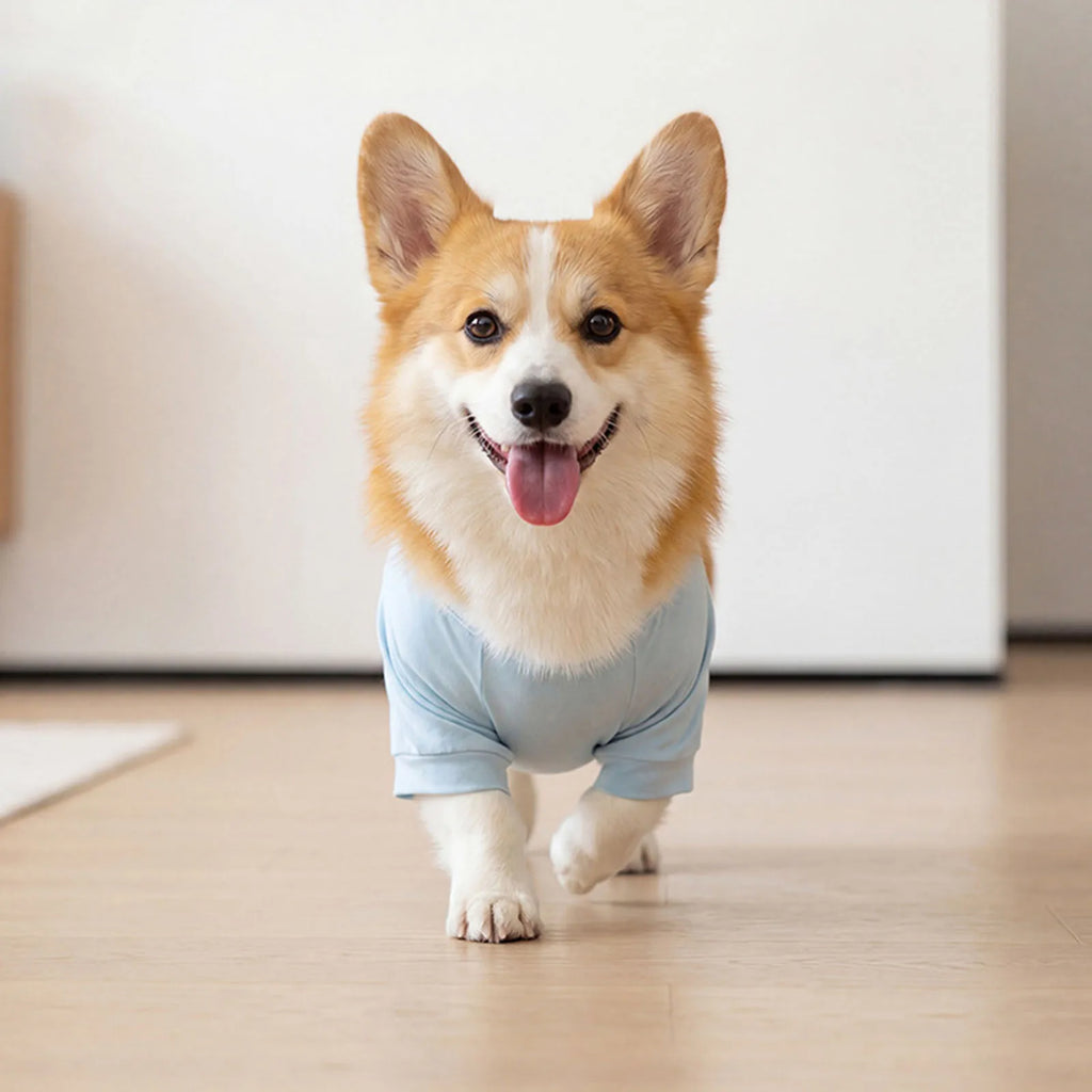 APWIKOGER Dog Sun Protection Cooling Shirt | 2-in-1 Jumpsuit Dog Cooling Jumpsuit Vue