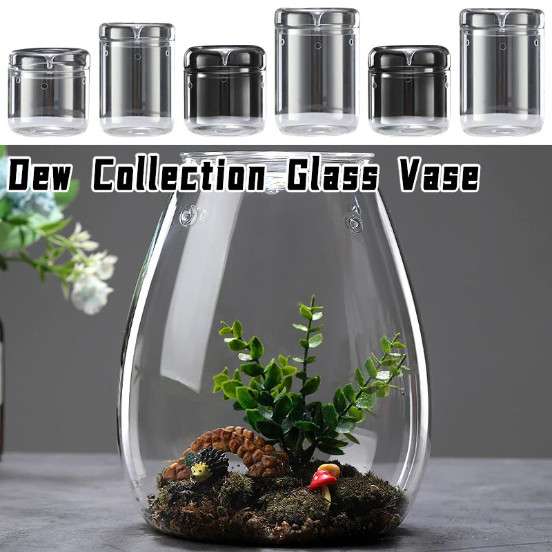Multi-size Glass Bottle Creativity Dew Collection Glass Vase Micro Landscape Succulent Moss Landscape Glass Terrarium Home Decor Vue