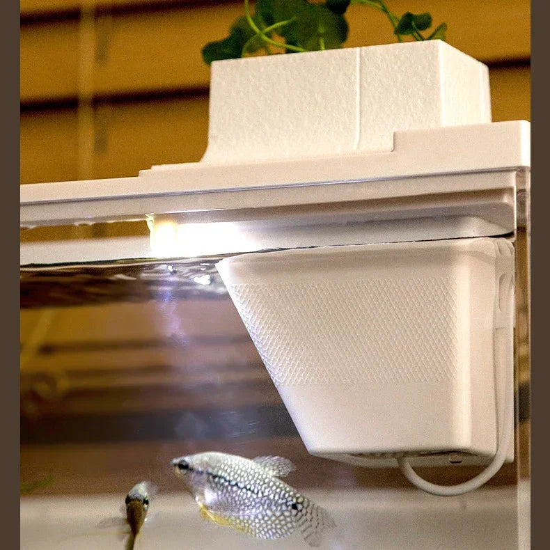 Dreamburgh Desktop Mini Aquarium Tank with LED Light & Filter Desktop Aquarium Vue