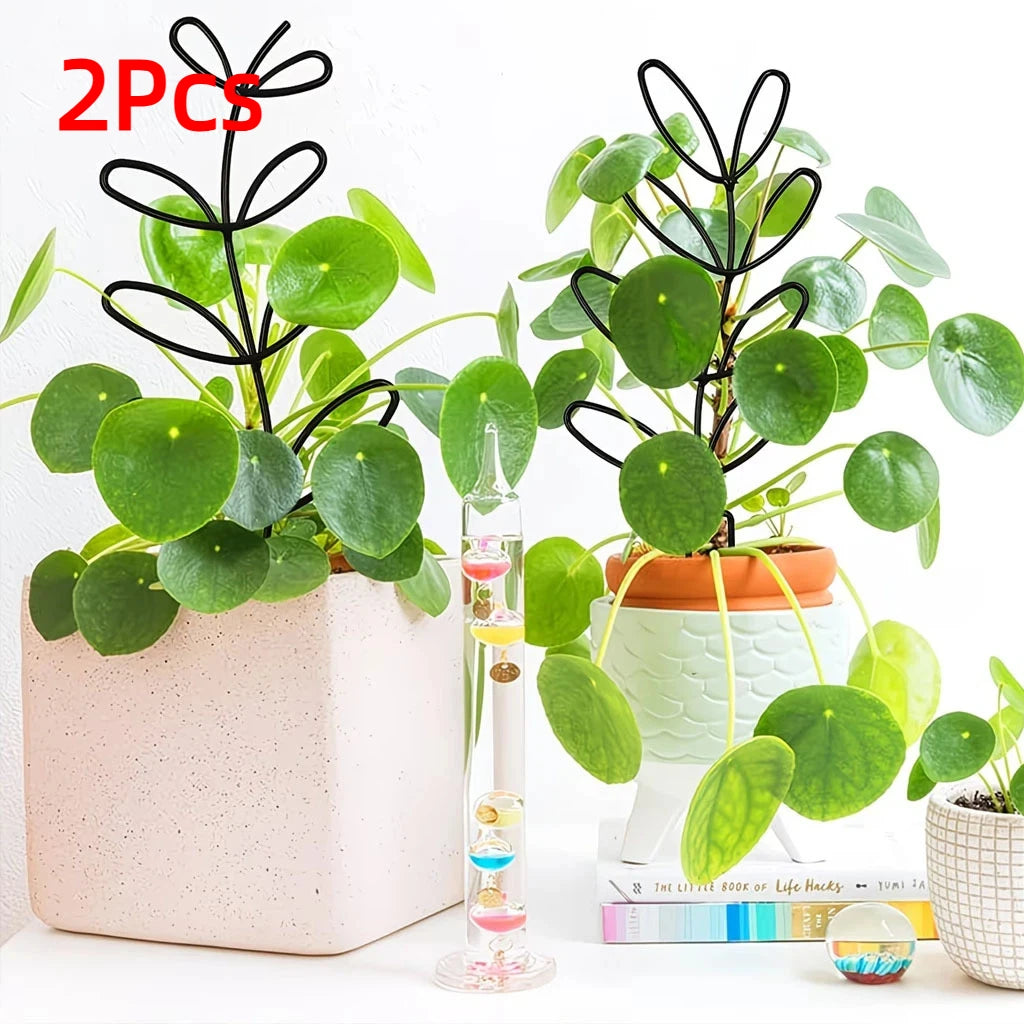 Honeycomb Plant Trellis – Climbing Support Stake for Monstera Plant Support Trellis Vue B 2PCS
