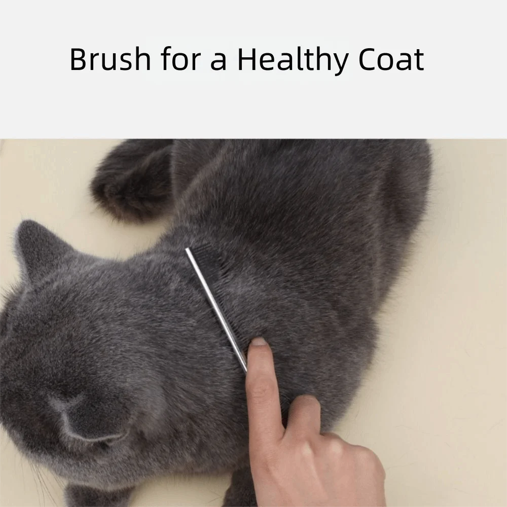 Double Toothed Pet Grooming Comb Short and Long Needles High Low Teeth Detangling Grooming Tool Reusable Anti-Static Vue