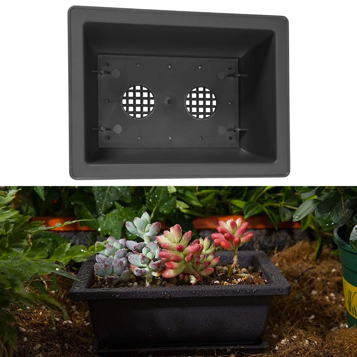 ABKW-6 Packs Bonsai Training Pots With Tray Plastic Bonsai Plants Growing Pot For Garden Yard Living Room 22.5X16.5Cm Vue one color