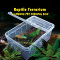 10pcs Plastic Transparent Reptile Box for Snake Turtle Breeding Box Case Feeding Hatching Container Vue White clear