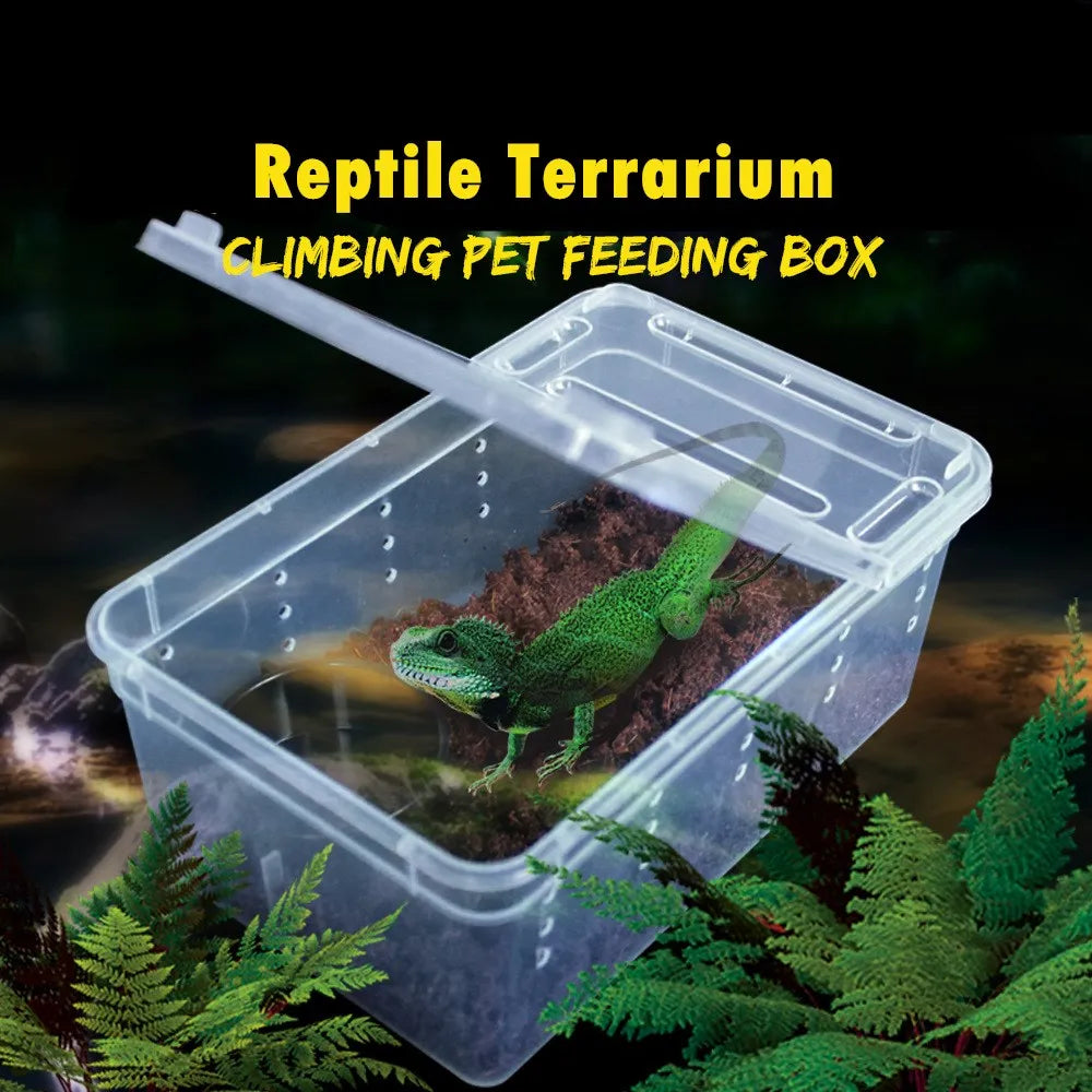 10pcs Plastic Transparent Reptile Box for Snake Turtle Breeding Box Case Feeding Hatching Container Vue White clear