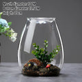 Multi-size Glass Bottle Creativity Dew Collection Glass Vase Micro Landscape Succulent Moss Landscape Glass Terrarium Home Decor Vue Style-07
