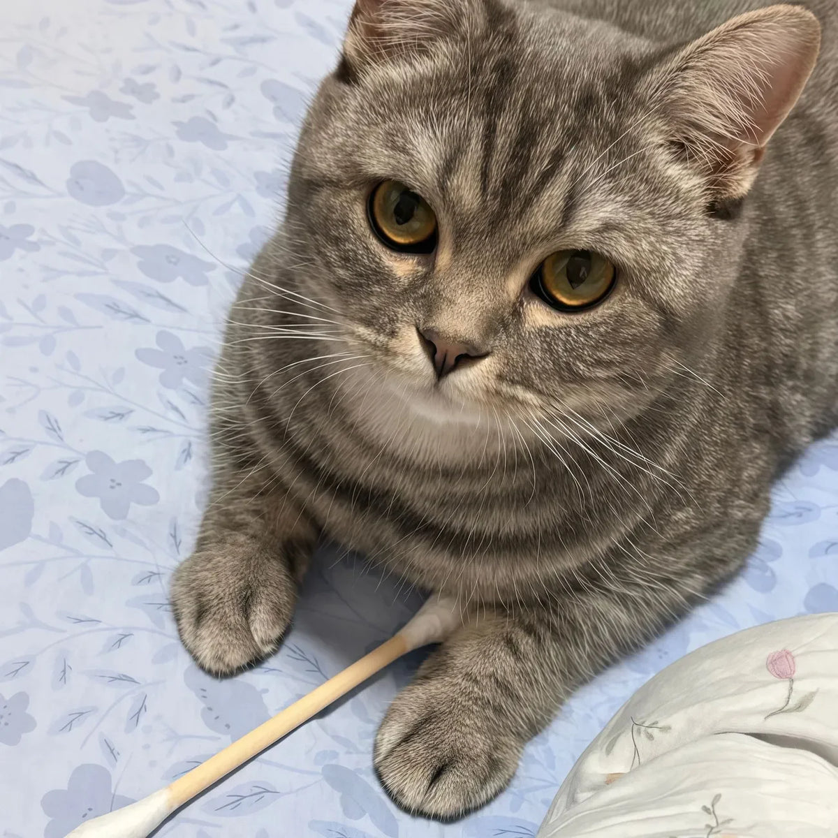Giant Cotton Swab Catnip Toy – Wool Felt Kitten Chew Toy 6-Pack Cat Chew Toy Vue