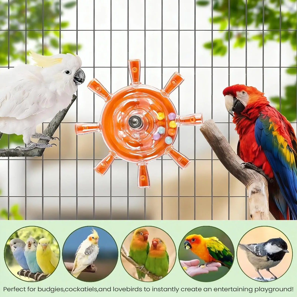 Parakeet Toys Colorful Interactive Rotating Small Wheel Rattle, Cage Parrot Spinner Toy for Cockatiels, Budgies, Conures, Parrot Vue